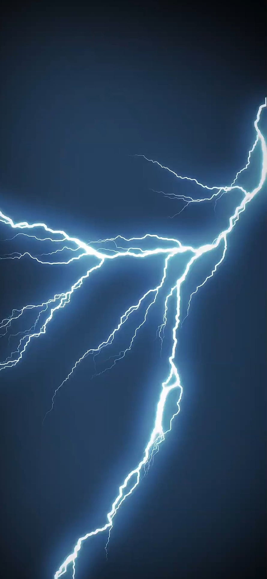 Branching Lightning Strike Illuminating a Dark Stormy Night Sky HD phone wallpaper