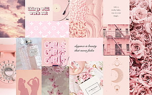 Pink Aesthetic Collage Wallpaper Featuring Roses, Perfume, and Inspirational Quotes HD wallpaper