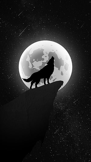 Silhouette of a lone wolf howling at a full moon from a rocky cliff under a starry night sky HD phone wallpaper