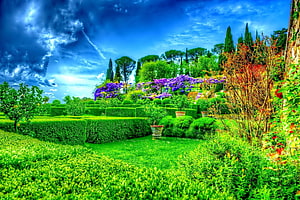 Vibrant Formal Garden with Purple Wisteria and Sculpted Hedges Under Dramatic Sky HD wallpaper