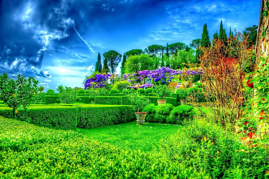 Vibrant Formal Garden with Purple Wisteria and Sculpted Hedges Under Dramatic Sky HD wallpaper