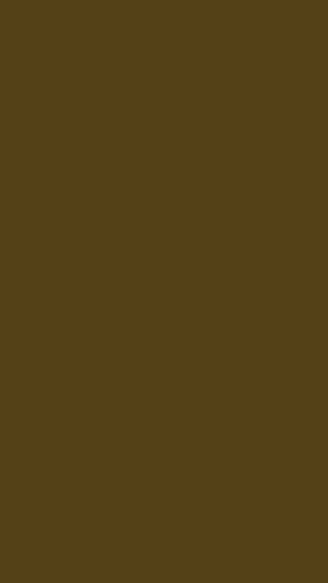 Solid Dark Brown Monochromatic Plain Color Background Texture HD phone wallpaper