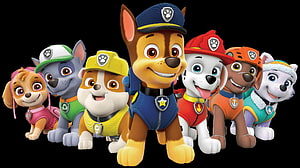 Paw Patrol Team Group Portrait with Chase, Marshall, Rubble, Rocky, Skye, Zuma, and Everest HD wallpaper