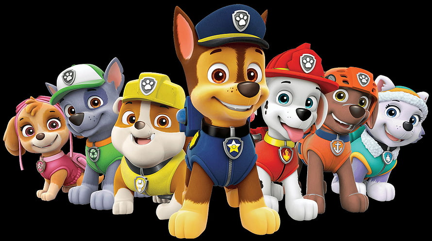 Paw Patrol Team Group Portrait with Chase, Marshall, Rubble, Rocky, Skye, Zuma, and Everest HD wallpaper