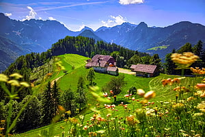 Alpine Pastoral Landscape in Slovenia Featuring Traditional Farmhouses and Wildflowers HD wallpaper