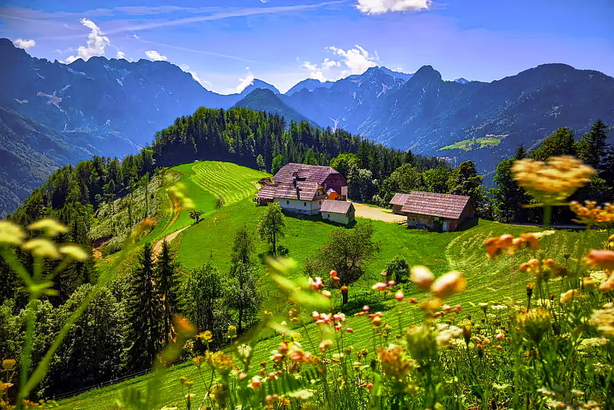 Alpine Pastoral Landscape in Slovenia Featuring Traditional Farmhouses and Wildflowers HD wallpaper