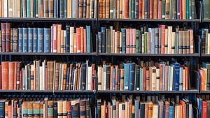 Vintage Hardcover Books on Dark Wooden Library Shelves HD wallpaper