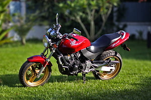 Red Honda Hornet 250 Motorcycle Parked on Green Grass HD wallpaper