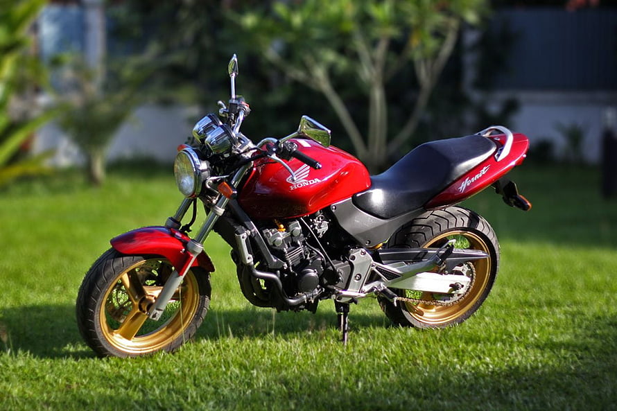 Red Honda Hornet 250 Motorcycle Parked on Green Grass HD wallpaper