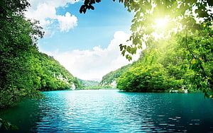 Serene Turquoise Lagoon Surrounded by Lush Green Forest and Bright Blue Sky HD wallpaper