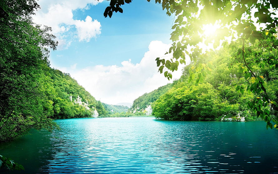 Serene Turquoise Lagoon Surrounded by Lush Green Forest and Bright Blue Sky HD wallpaper