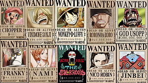 One Piece Straw Hat Crew Wanted Posters with Bounties HD wallpaper