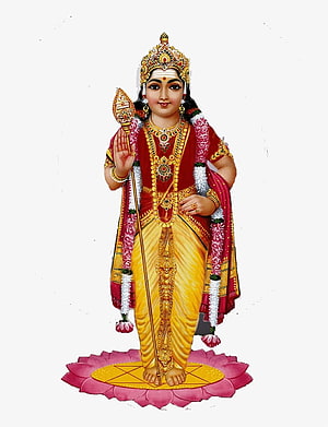 Murugan Deity Illustration in Traditional Attire Standing on Lotus Pedestal HD phone wallpaper