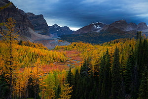 Autumn Mountain Valley with Golden Larch Forests and Dramatic Stormy Sky HD wallpaper