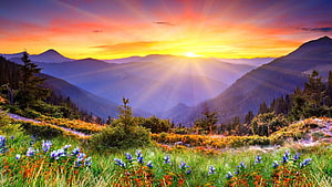 Vibrant Mountain Meadow At Sunset With Wildflowers And Sunbeams HD wallpaper