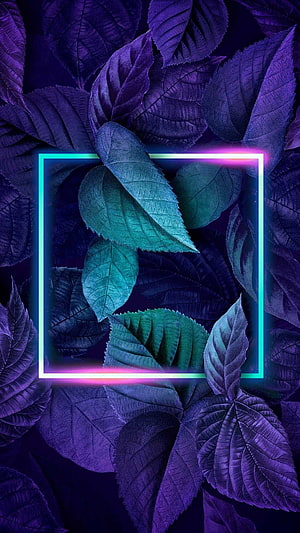 Purple and Teal Leaves Framed by a Glowing Neon Rectangle HD phone wallpaper
