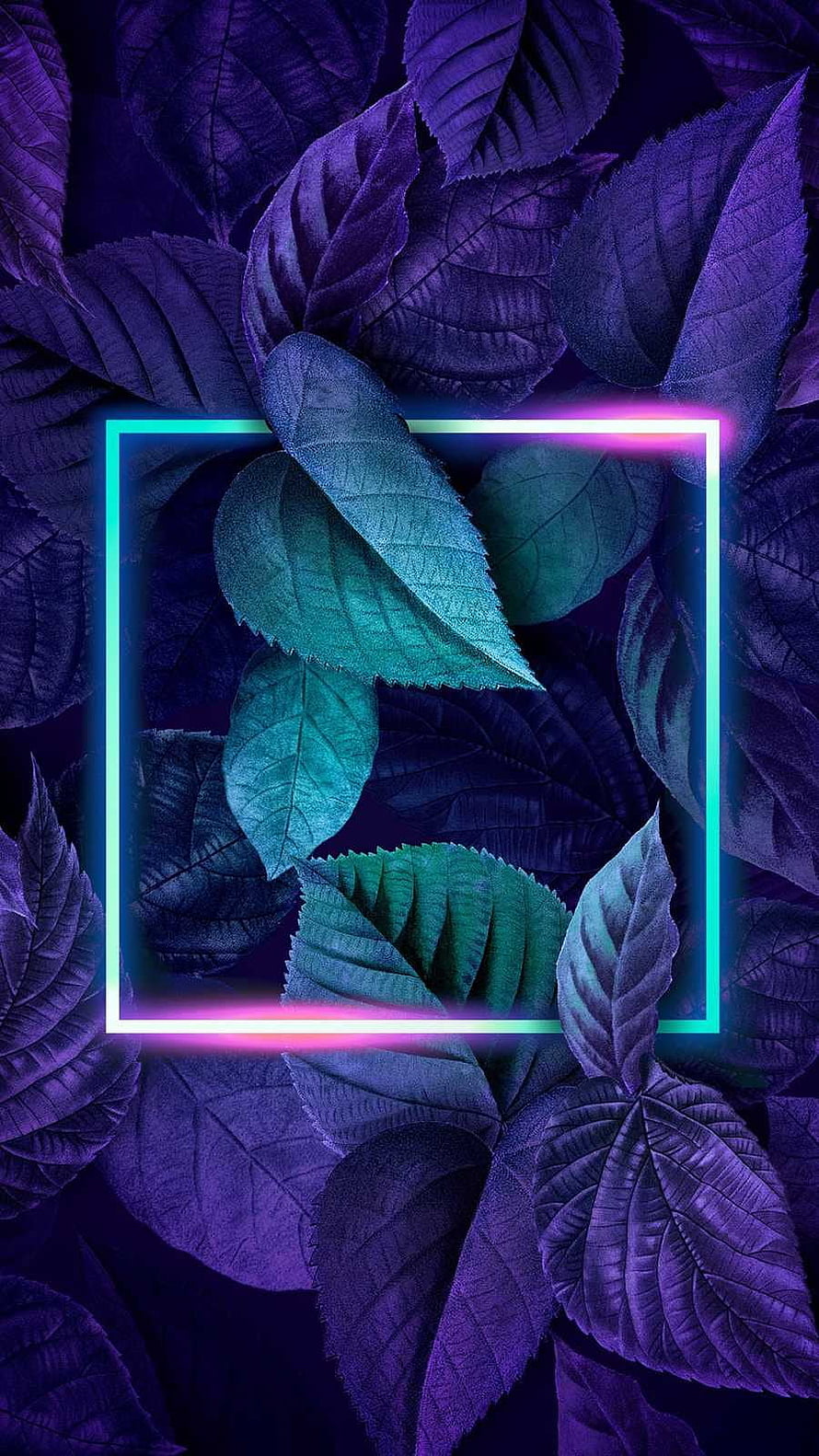 Purple and Teal Leaves Framed by a Glowing Neon Rectangle HD phone wallpaper