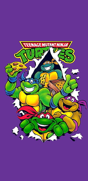 Teenage Mutant Ninja Turtles Classic Cartoon Group Artwork on Purple Background HD phone wallpaper