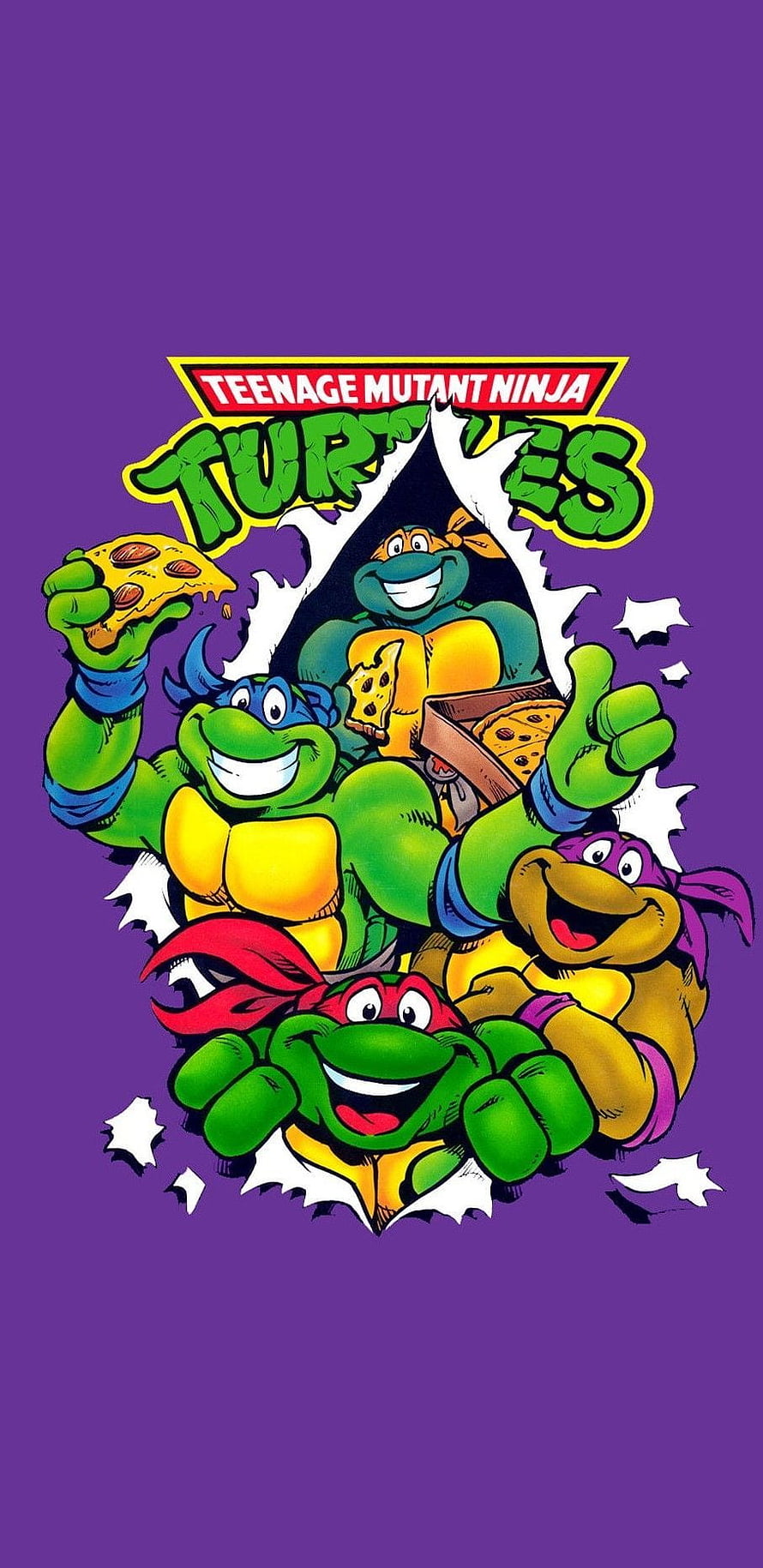 Teenage Mutant Ninja Turtles Classic Cartoon Group Artwork on Purple Background HD phone wallpaper