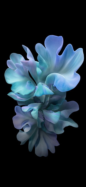 Ethereal Blue and Lavender 3D Flower Blooms on Black Background HD phone wallpaper
