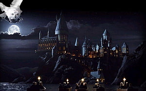 Hogwarts Castle at Night with Full Moon and Owl from Harry Potter HD wallpaper