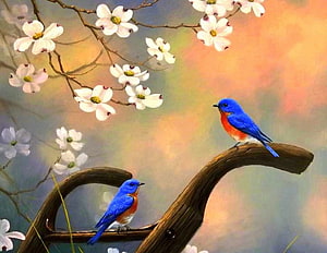 Two Eastern Bluebirds Perched on a Branch Beneath White Dogwood Blossoms in a Springtime Painting HD wallpaper