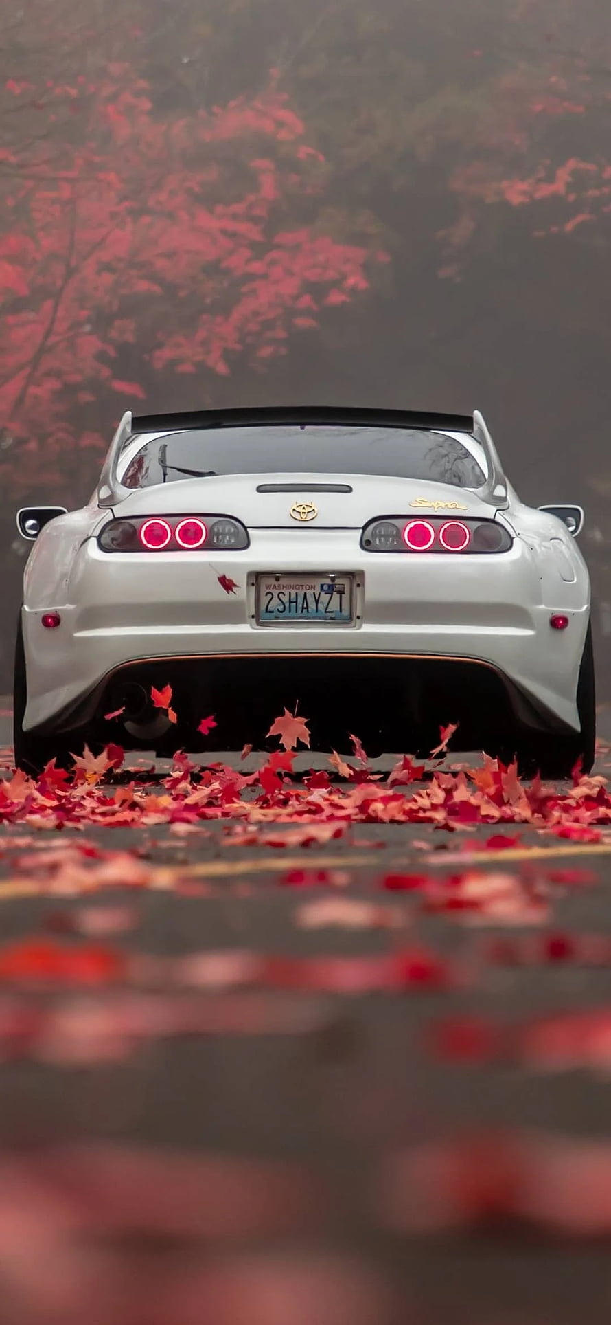 Rear View of a White Toyota Supra MK4 Parked on a Road Covered in Red Autumn Leaves HD phone wallpaper