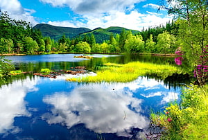 Serene Mountain Lake with Perfect Cloud Reflections and Lush Green Forest HD wallpaper