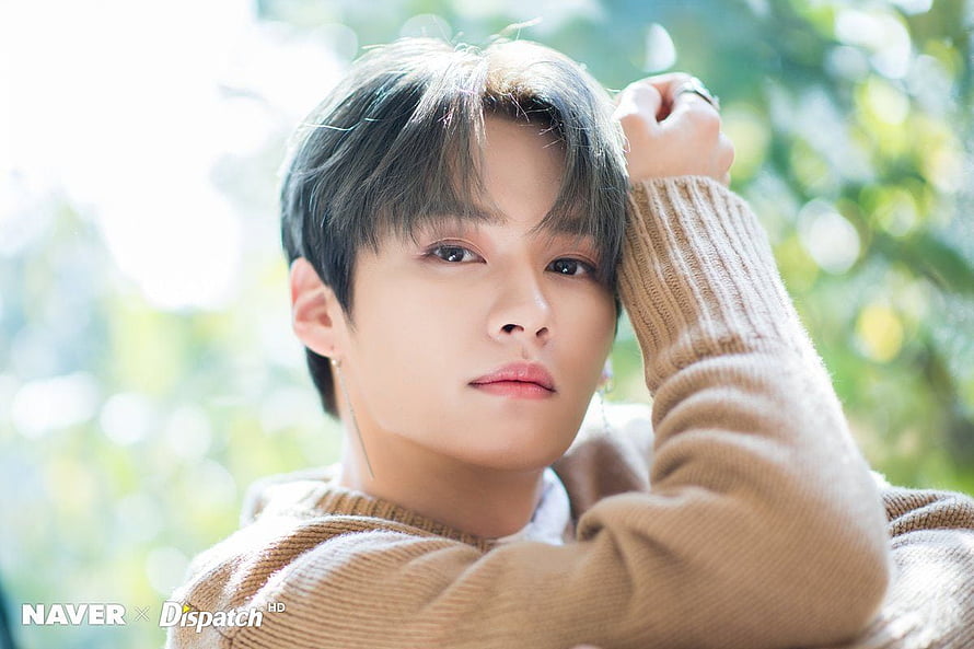 Lee Know of Stray Kids in a warm knit sweater with soft natural light and green bokeh background HD wallpaper