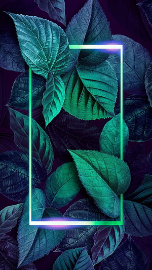 Neon Green Leaves with Glowing Frame on Dark Purple Background HD phone wallpaper