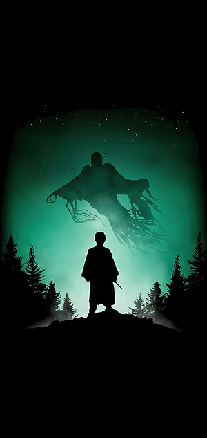 Harry Potter Silhouette Standing Before a Glowing Green Spectral Figure in a Dark Forest HD phone wallpaper