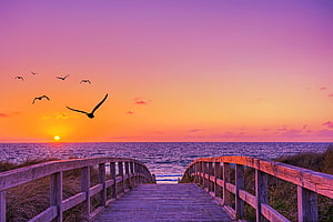 Wooden Boardwalk Leading to Ocean at Vibrant Sunset with Seagulls in Flight HD wallpaper