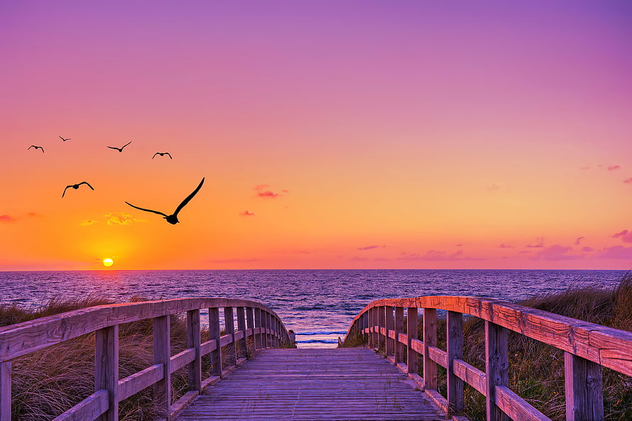 Wooden Boardwalk Leading to Ocean at Vibrant Sunset with Seagulls in Flight HD wallpaper