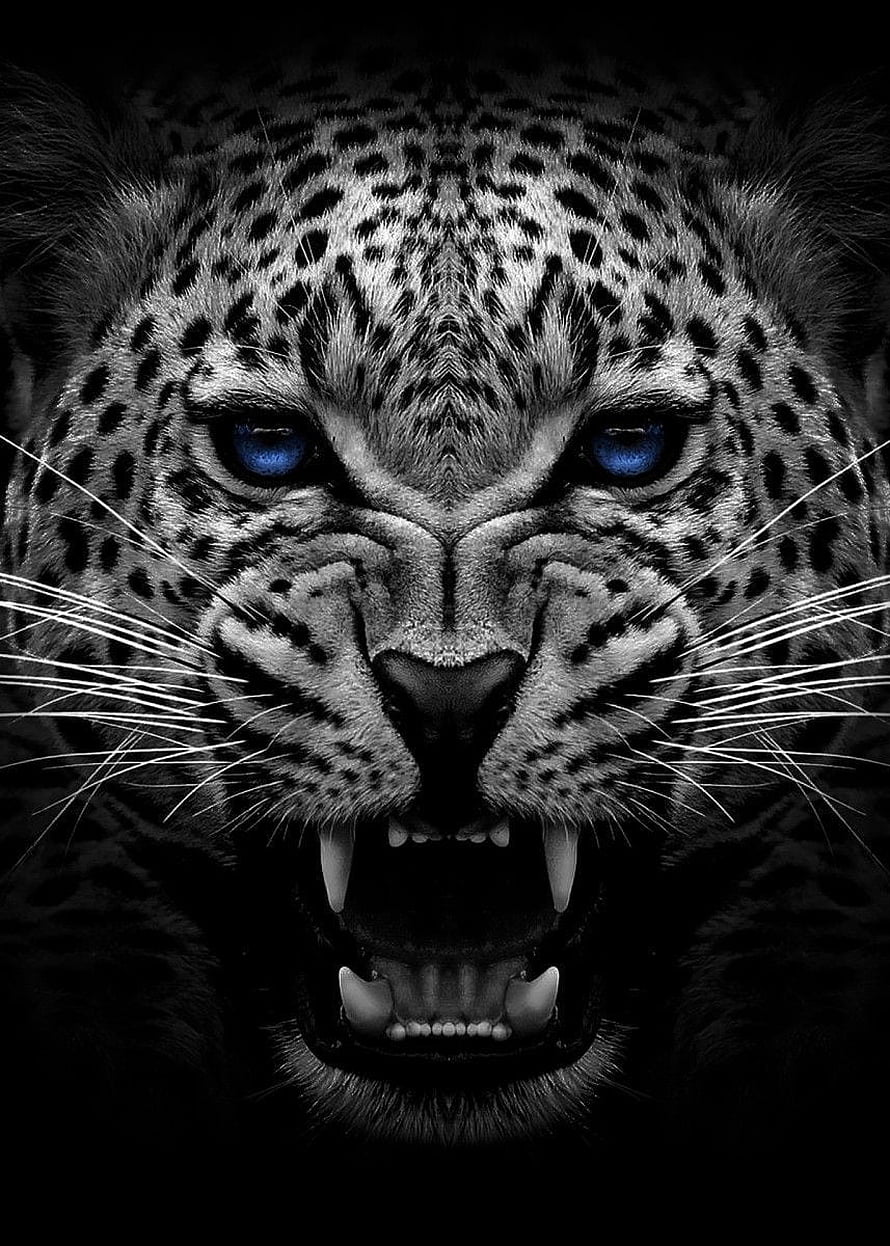 Fierce Jaguar Face with Glowing Blue Eyes in Dramatic Black and White Portrait HD phone wallpaper