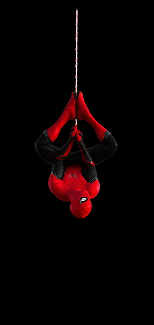Spider-Man hanging upside down from a web against a black background, Galaxy Note 10 Plus [Hide Camera], Dot Notch HD phone wallpaper