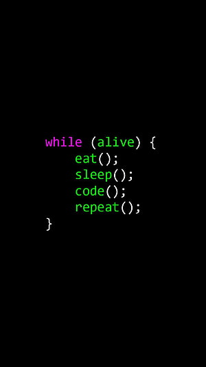 Minimalist Programmer Humor Code Snippet on Black Background HD phone wallpaper