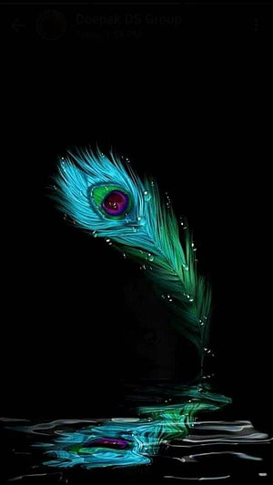 Vibrant Peacock Feather with Water Droplets and Reflection on Black Background HD phone wallpaper