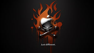 Dark Skull and Crossbones with Fiery Orange Flames on Black Background HD wallpaper