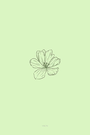 Minimalist Line Drawing of a Single Flower on a Soft Pastel Green Background HD phone wallpaper