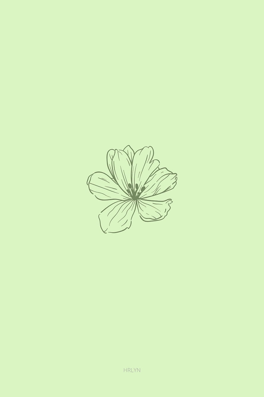 Minimalist Line Drawing of a Single Flower on a Soft Pastel Green Background HD phone wallpaper