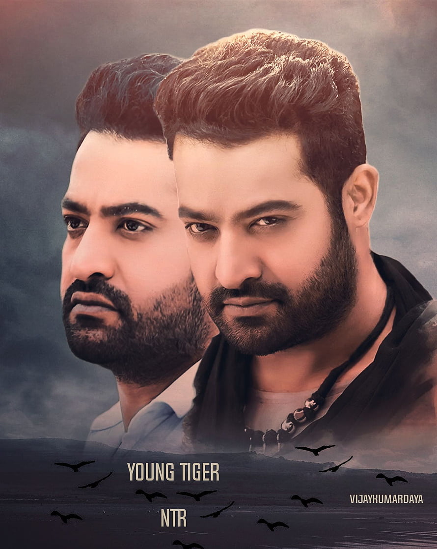 NTR Young Tiger Portrait with Dramatic Sky and Birds HD phone wallpaper