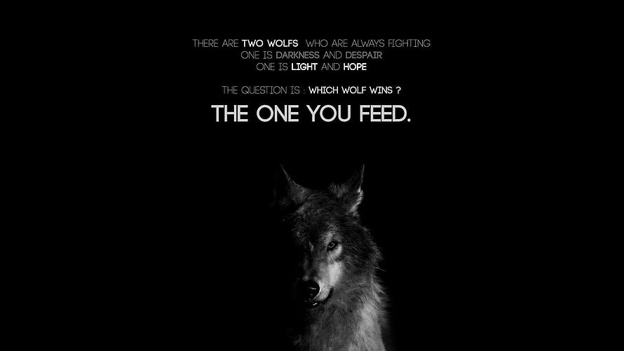 Inspirational Lone Wolf Quote on Black Background HD wallpaper