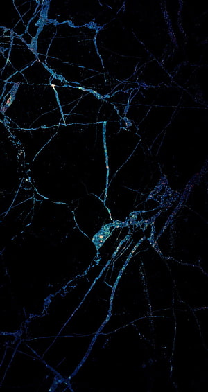 Dark Blue Marble Vein Texture on Black Background HD phone wallpaper