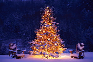 Snow-covered Christmas tree with warm lights and two Adirondack chairs on a winter deck at dusk HD wallpaper