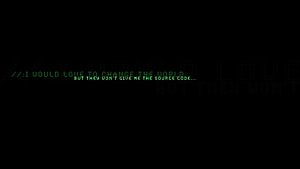 Green Terminal Code Quote on Black Background Minimalist Developer Wallpaper HD wallpaper