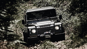 Black Land Rover Defender Off-Roading on a Forest Trail HD wallpaper