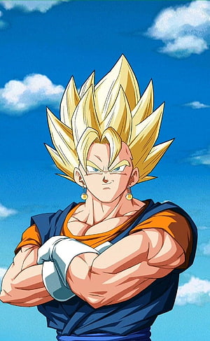 Super Saiyan Vegito Dragon Ball Z Anime Character Portrait HD phone wallpaper