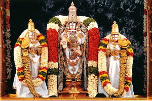 Lord Venkateswara Temple Deity Adorned in Gold Jewelry and Vibrant Flower Garlands HD wallpaper