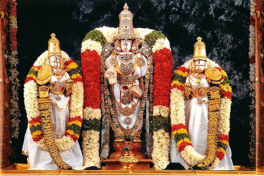 Lord Venkateswara Temple Deity Adorned in Gold Jewelry and Vibrant Flower Garlands HD wallpaper