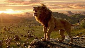 Mufasa Roaring on Pride Rock at Sunset in The Lion King HD wallpaper